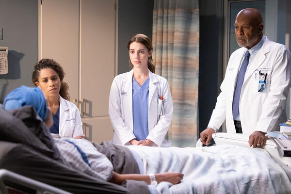 Grey's anatomy season 15 online subtitles sale